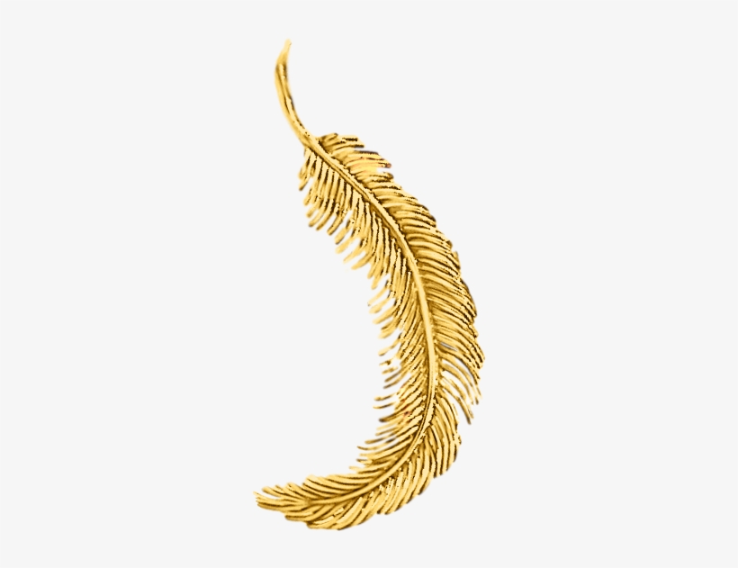 Tiffany Feather Gold Brooch - Illustration, transparent png
