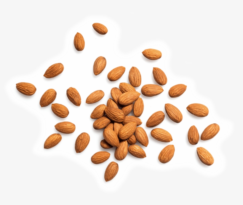 Almond, transparent png
