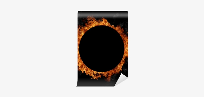 Stock Photography, transparent png