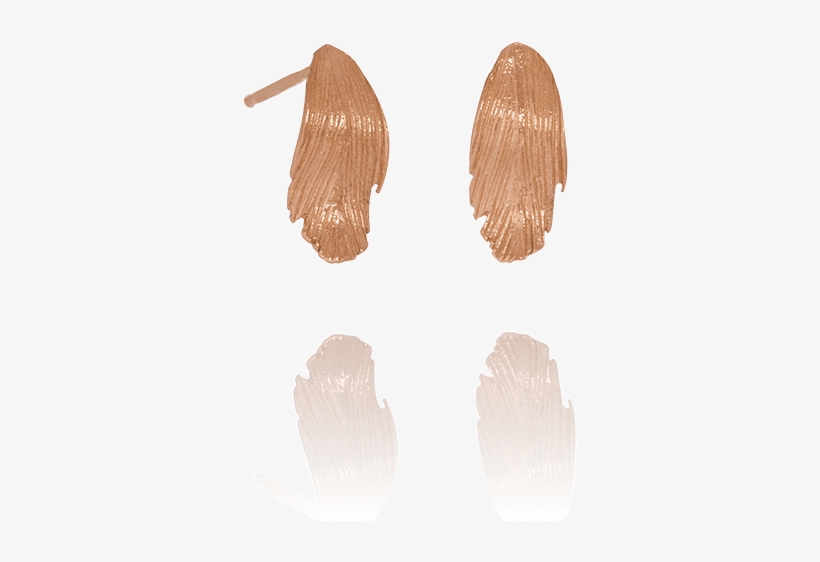Gold Feather Ear Studs By Aurum - Earring, transparent png