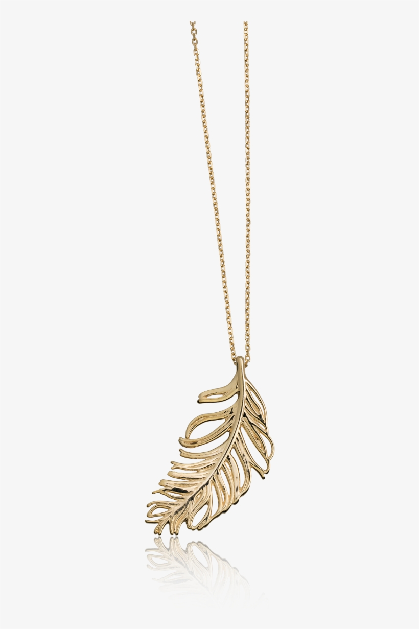 Feather Design Pendant In 14k Yellow Gold - Pendant, transparent png