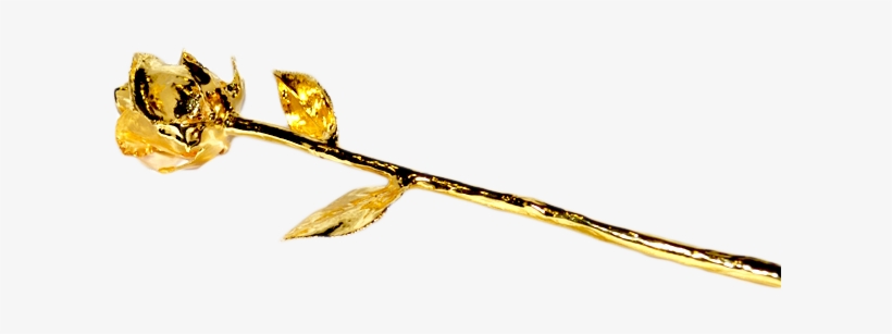 Golden Rose Png Free Download - Portable Network Graphics, transparent png