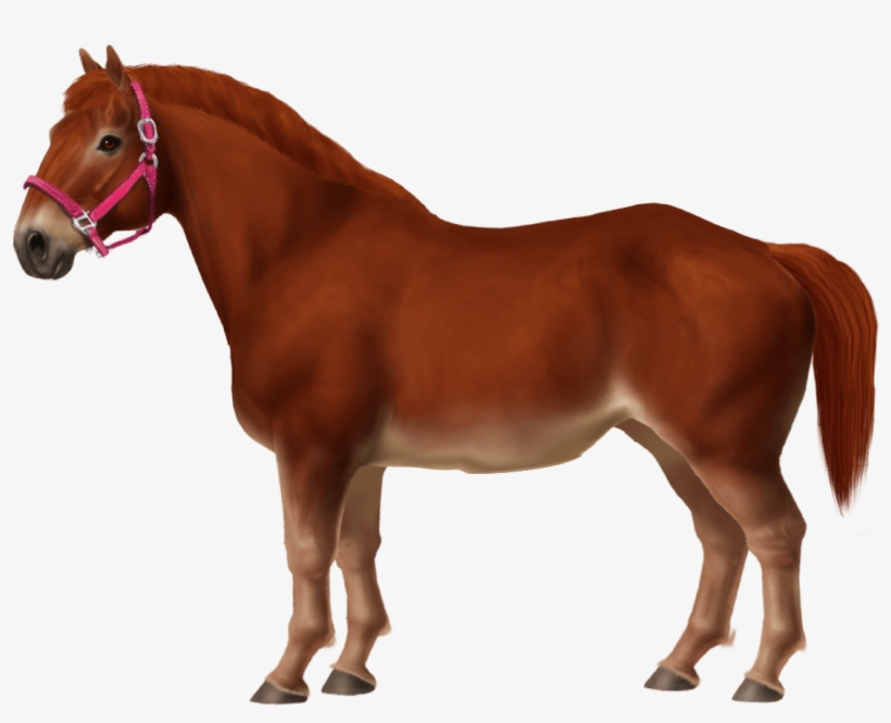 Belgian Pony - Cloverleaf Breyer, transparent png