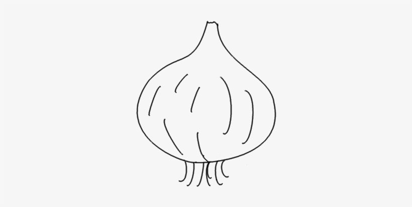Drawing Vegetable Onion Svg Transparent Library - Line Art, transparent png