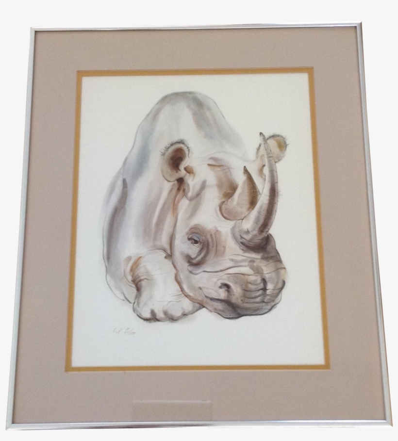 Rhinoceros Watercolor Framed Painting On Chairish, transparent png