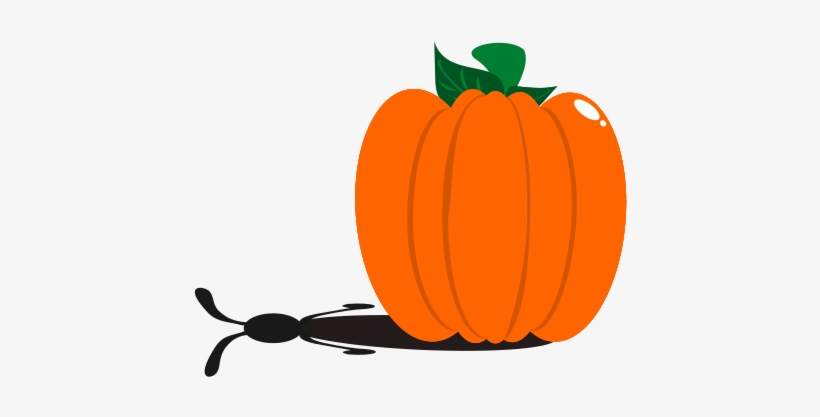 How To Set Use Rabbit Pumpkin Clipart, transparent png