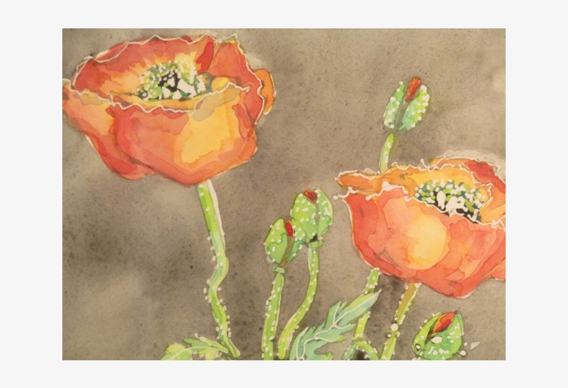 Golden Poppies By Katalin Ehling - Poppy, transparent png