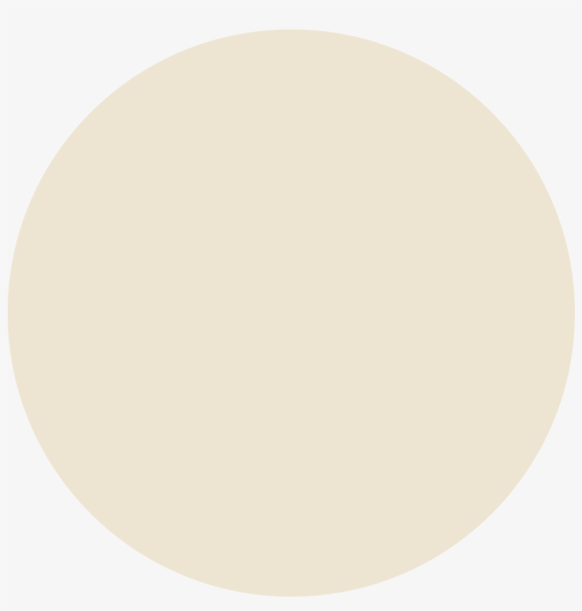 Parchment, transparent png