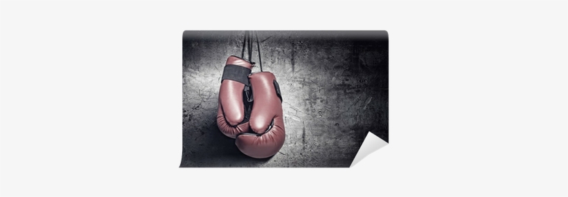Boks Eldiveni Duvar Kağıdı, transparent png