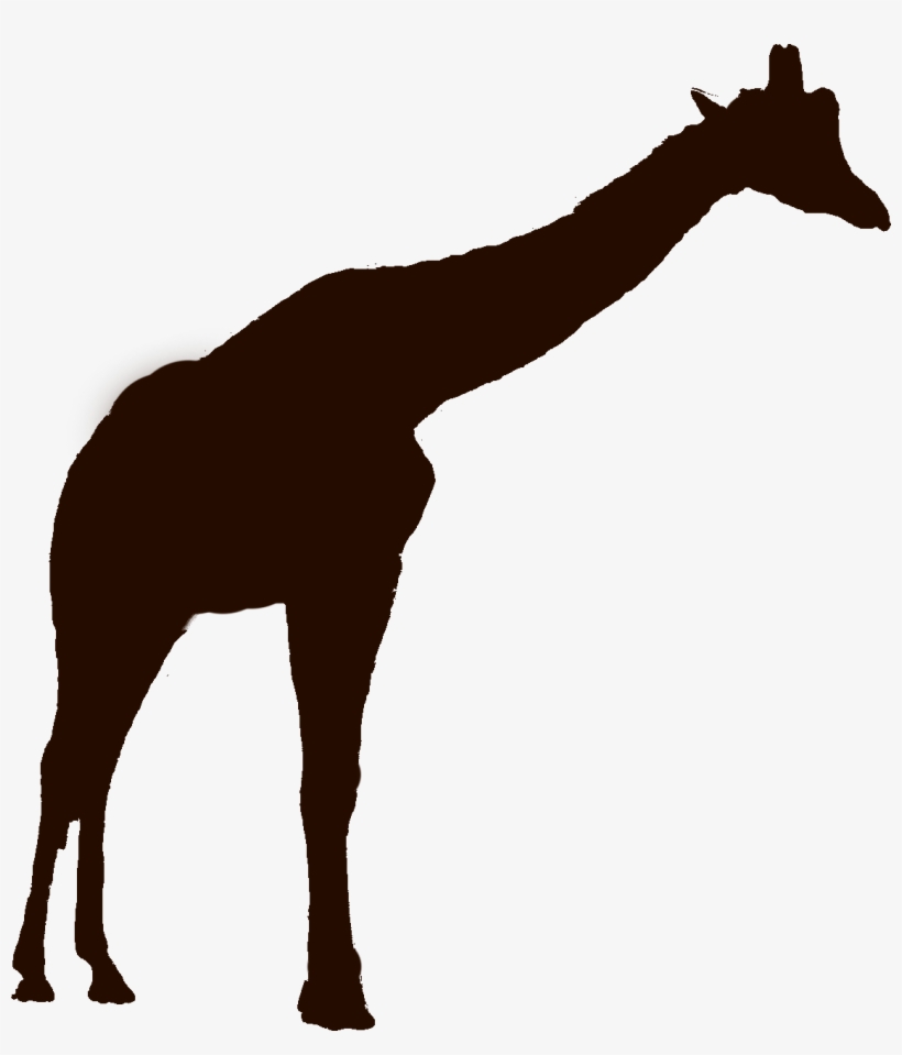 Illustration, transparent png