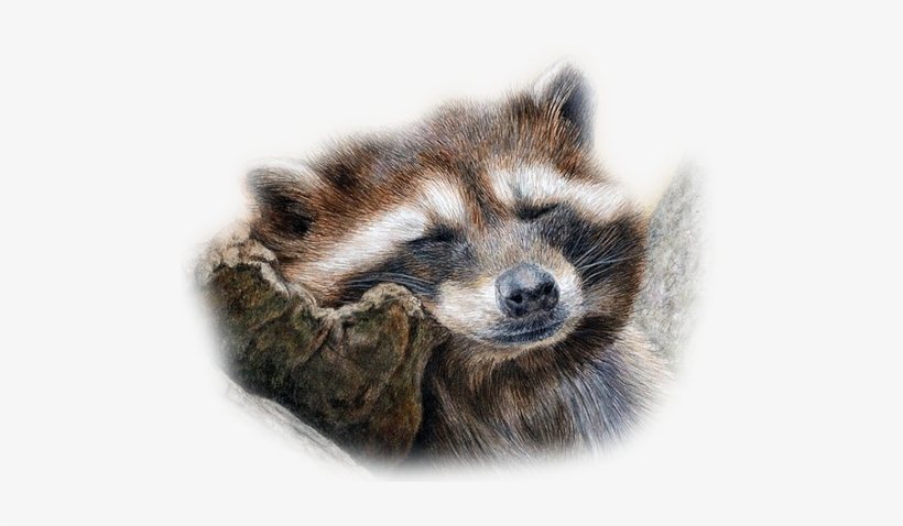 1386130389374 - Colored Pencil, transparent png