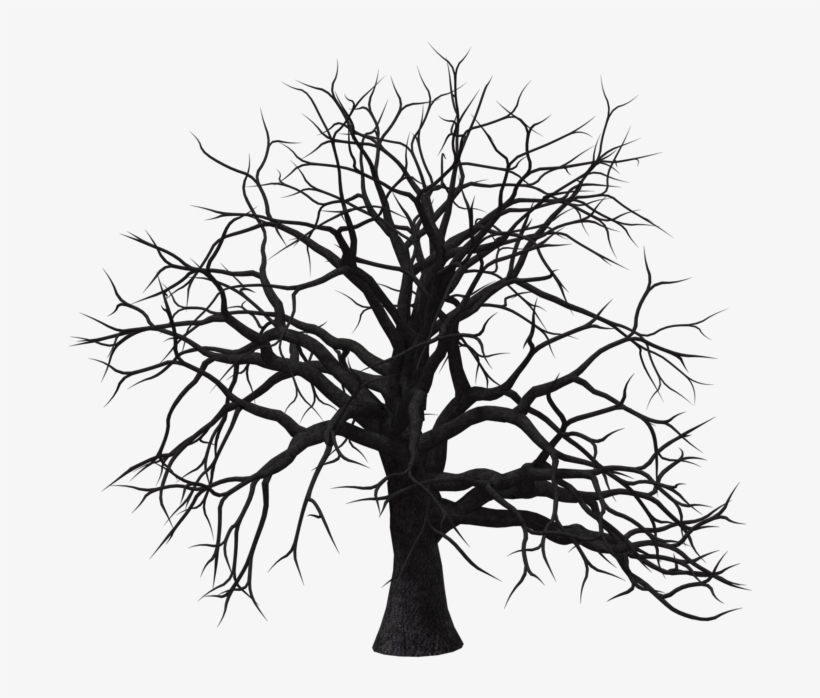 Old Tree Transparent Background Png - Silhouette, transparent png