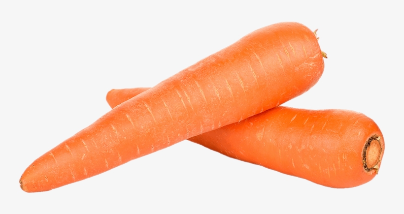 About - Carrot With White Background, transparent png