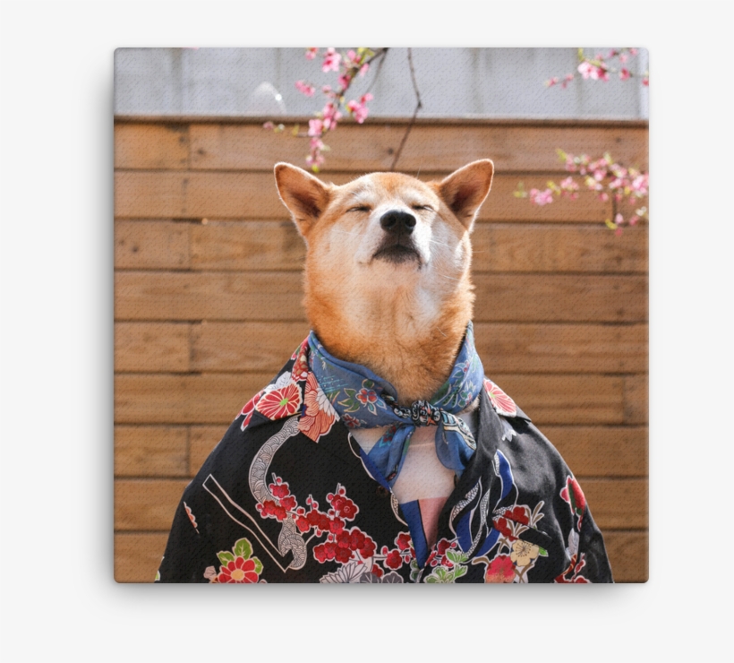 Mensweardog Cherry Blossom Canvas - Chú Chó Có Thần Thái, transparent png