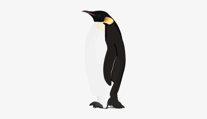 Penguin Png Picture - Transparent Background Penguin Png, transparent png