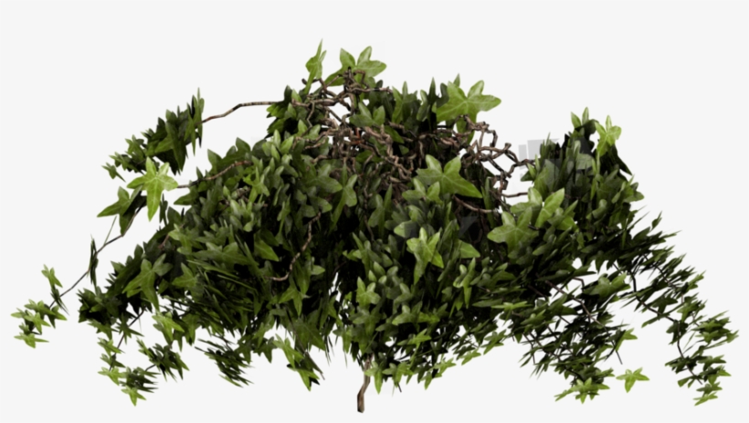 Png Royalty Free By Pixeltwist On Deviantart - Bush Png, transparent png