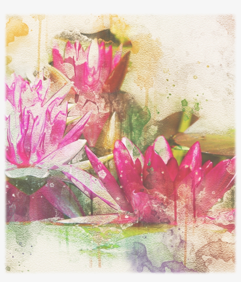 2018 03 04 Oos Image - Sacred Lotus, transparent png