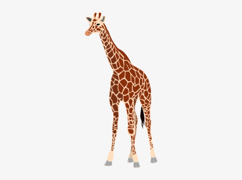 Giraffe Png - Giraffe Arabic Word, transparent png