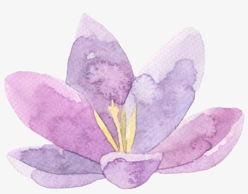 Watercolor Flower Theme - Webix, transparent png