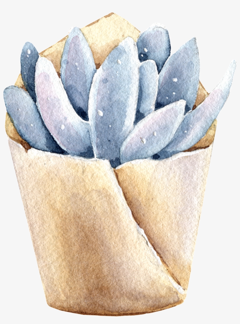 Succulents Hand Painted Watercolors Of Transparent - Watercolor Painting, transparent png