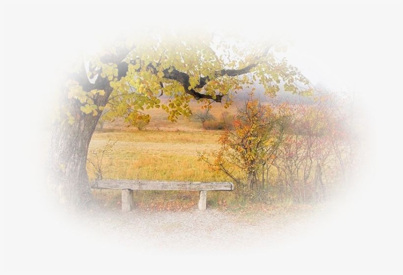 Wednesday, 22 August - Paysage D Automne, transparent png