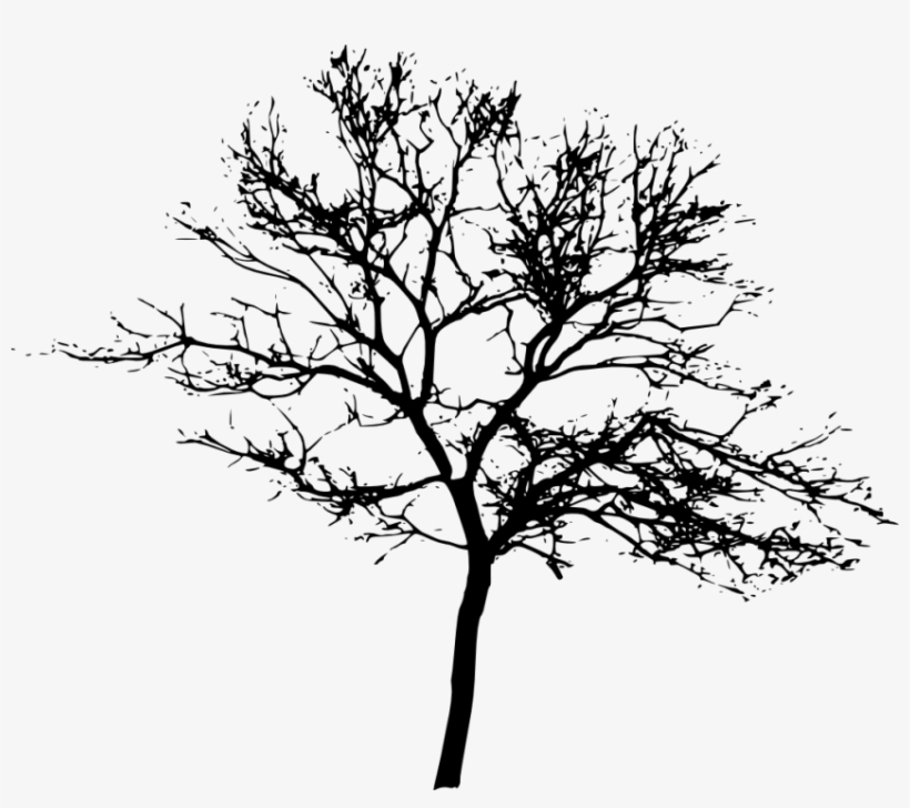 Free Png Tree Silhouette Png Images Transparent - Tree Silhouette Transparent Background, transparent png