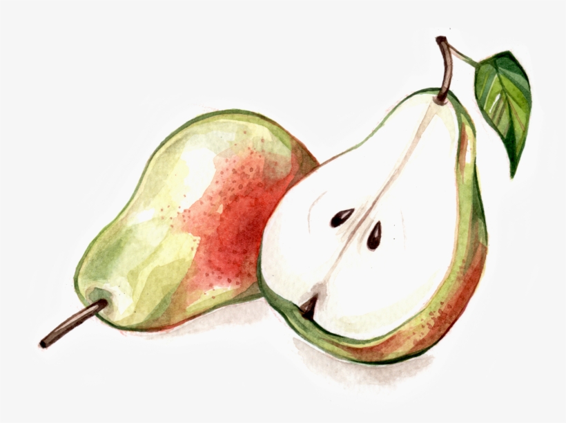 Fruit & Veg - Asian Pear, transparent png