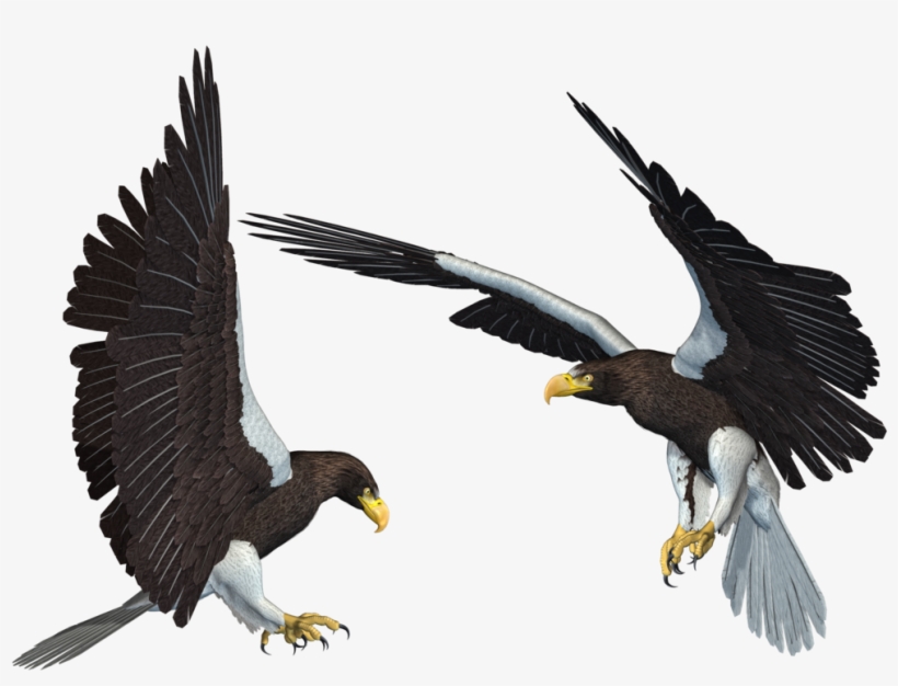 Bald Eagle Png Transparent Picture - Eagle Wallpaper Png, transparent png