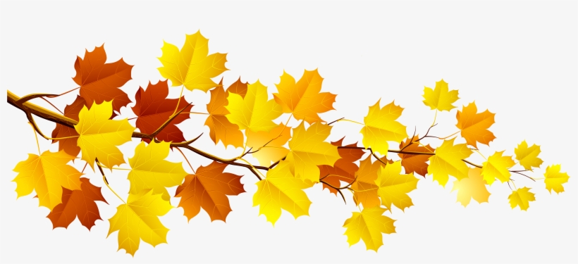 Autumn Leaves Clipart, transparent png