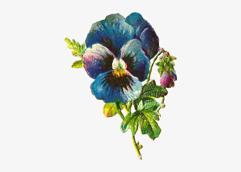 Blue Flower Clipart Victorian - Pansy, transparent png