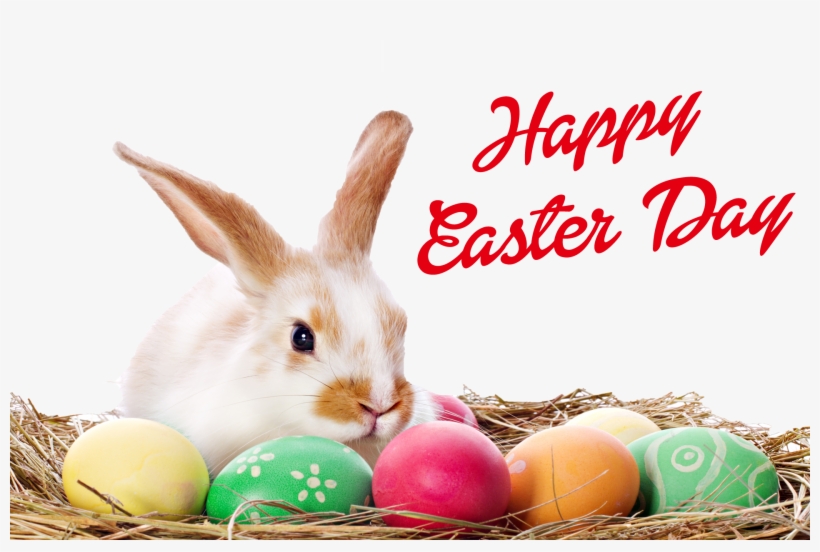 Happy Easter Bunny Png - Happy Easter Egg Png, transparent png