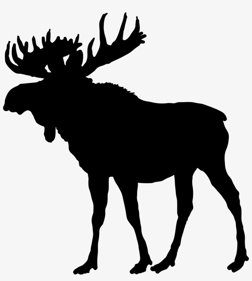 Moose Horns Png - Moose: Black Shower Curtain, transparent png