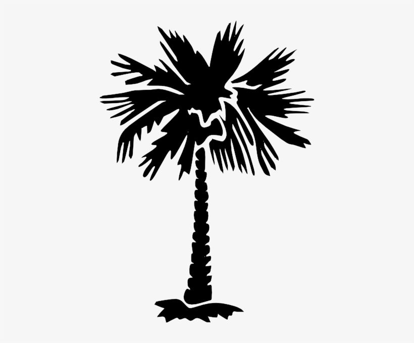 Palmetto Tree Png, transparent png