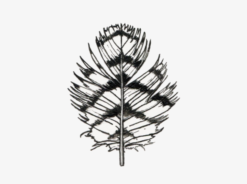 Owl Feather - Watercolor Feather Set Of 8 Temporary Tattoos, transparent png