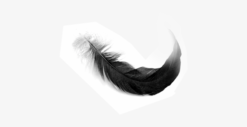 Monochrome, transparent png