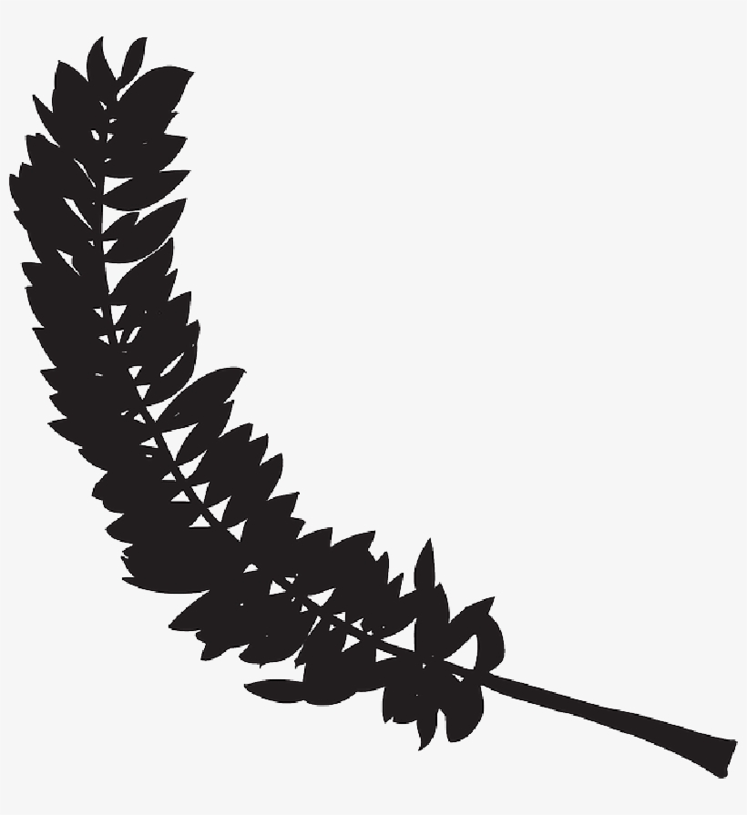 Mb Image/png - Feather Silhouette Transparent, transparent png