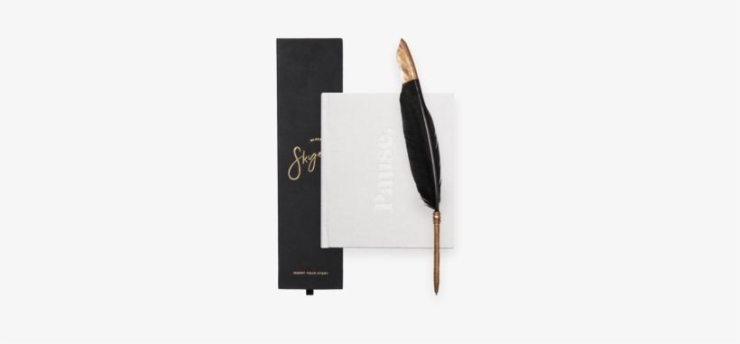 Press Pause Black Feather Pen Bundle - Feather, transparent png