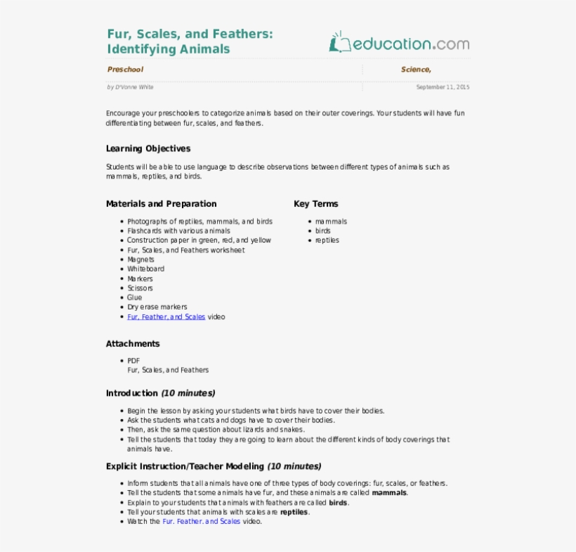 Fur, Scales, And Feathers - Lesson Note On Social Studies, transparent png