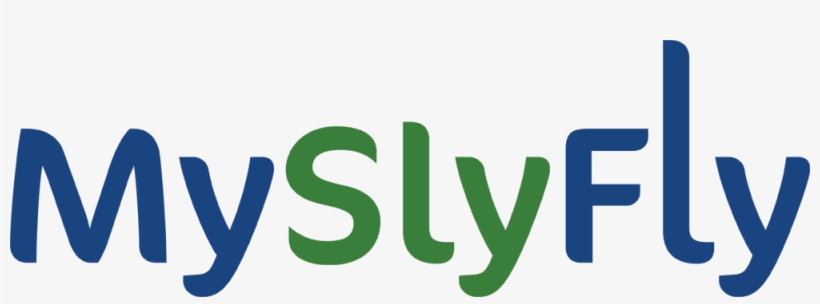 Why Is Myslyfly - National Catholic Education Association Logo, transparent png