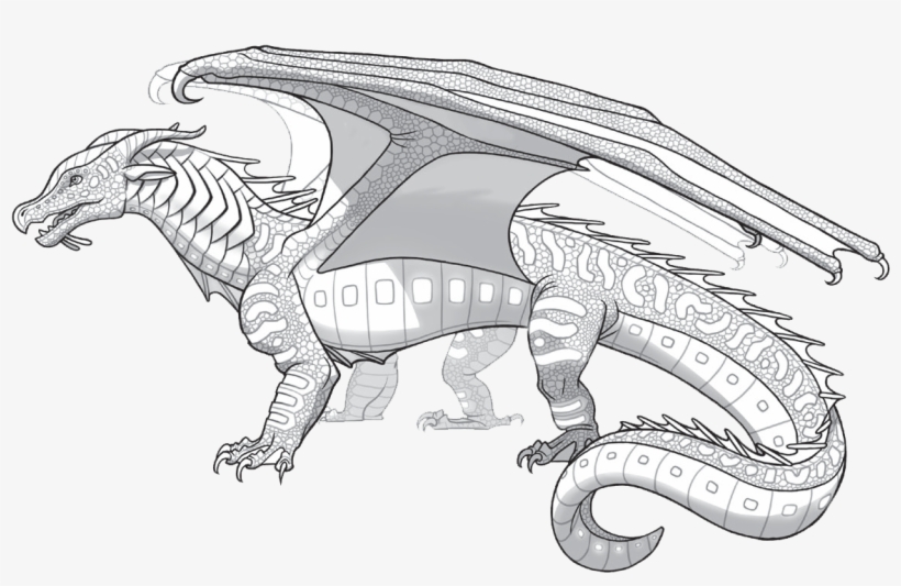 Family - Wings Of Fire Dragons Seawings, transparent png