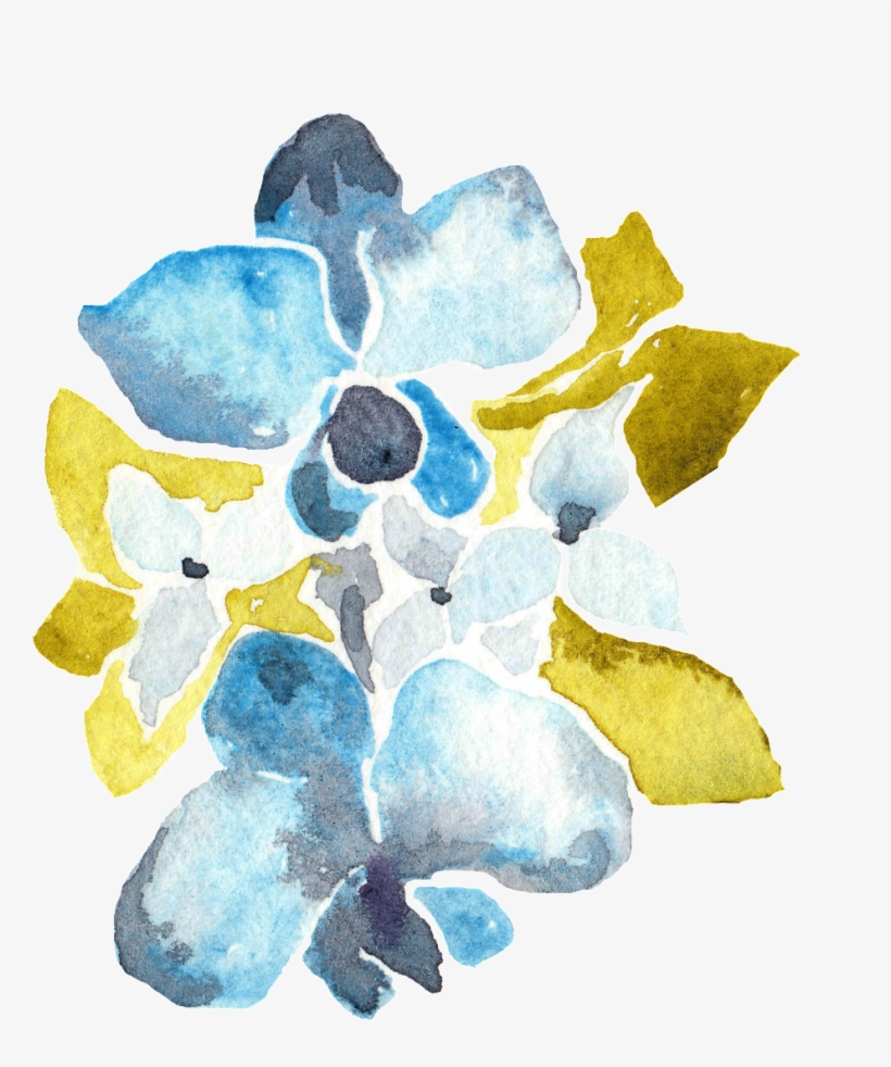 Moth Orchid, transparent png