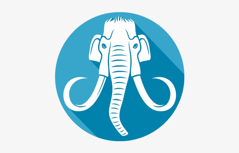 We Get Mammoth Results - Illustration, transparent png