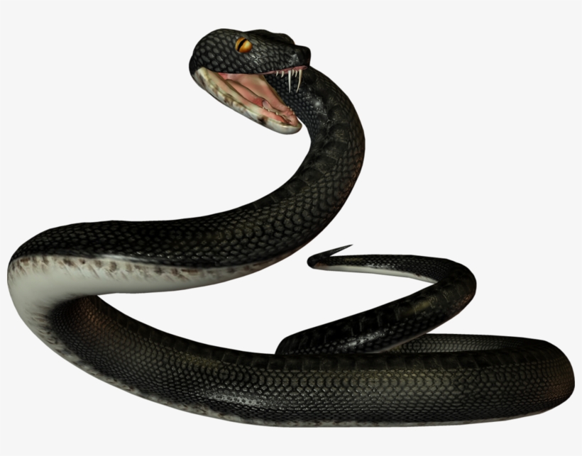 Змей Пнг, transparent png