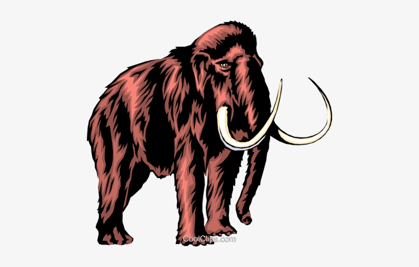Mammoth Royalty Free Vector Clip Art Illustration Anim0293 - Mammoth Clip Art, transparent png