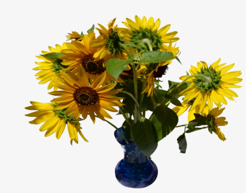 Clip Transparent Download In Stock By Annamae On Deviantart - Vase, transparent png