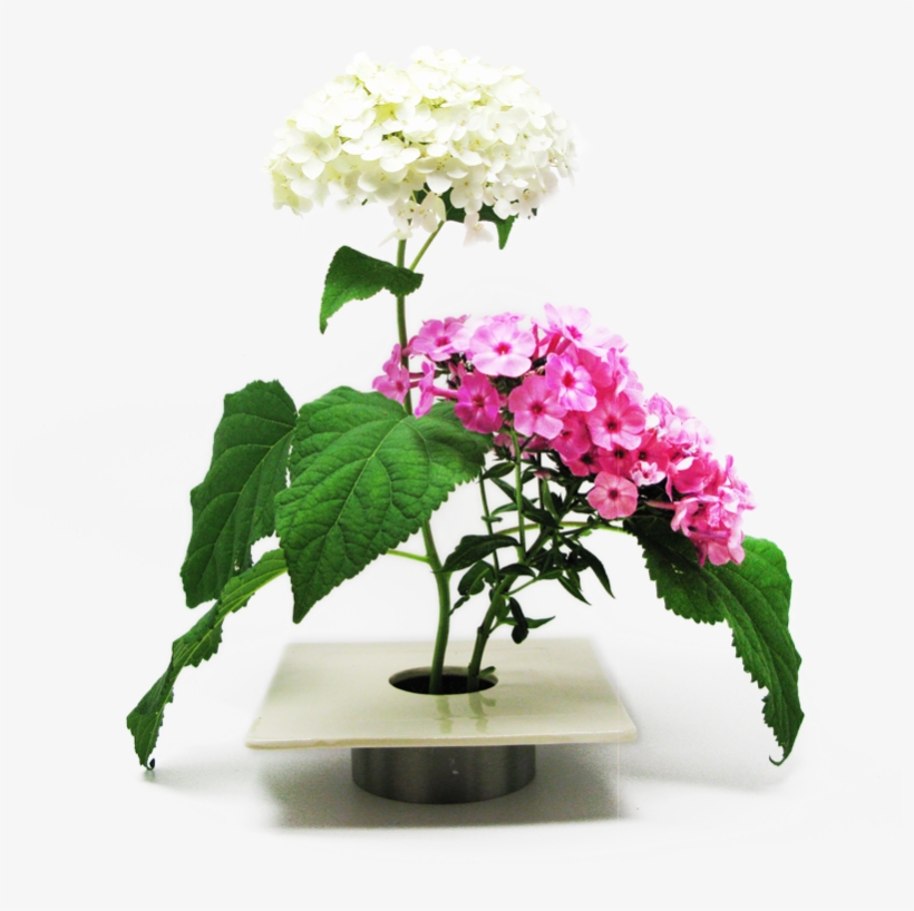 Ichiban Vase - Beekman 1802 Llc, transparent png