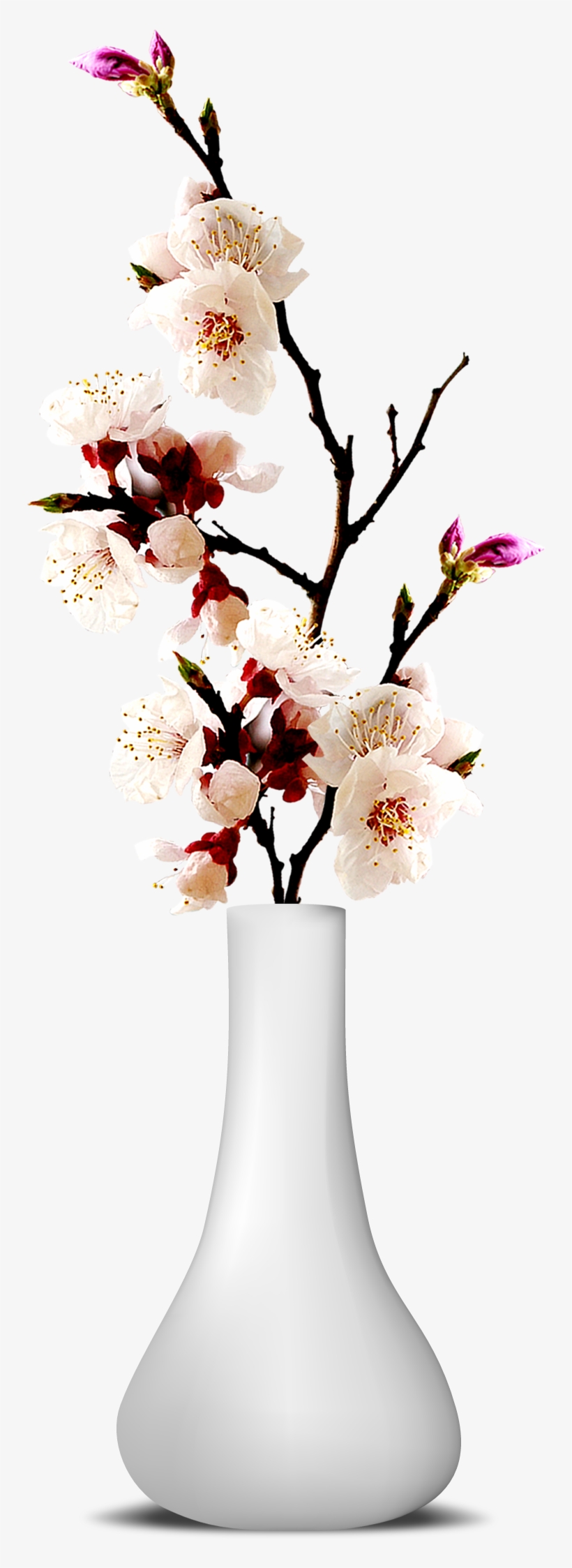 Flower Vase Png Transparent Image - Vase And Flower Png, transparent png