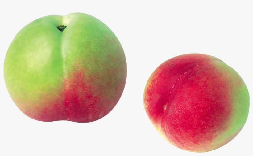 Jpg Library Green Png Image Purepng Free Cc Library - Peach, transparent png