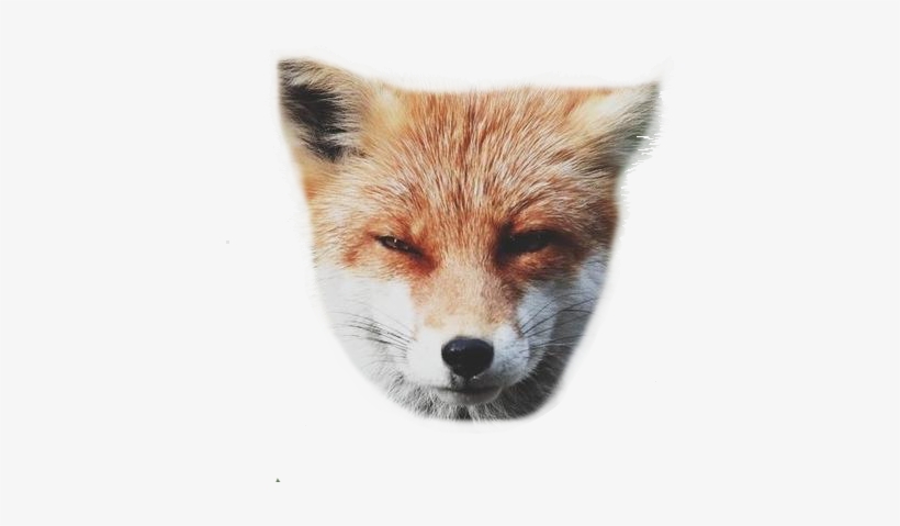 See You Watching Me, transparent png