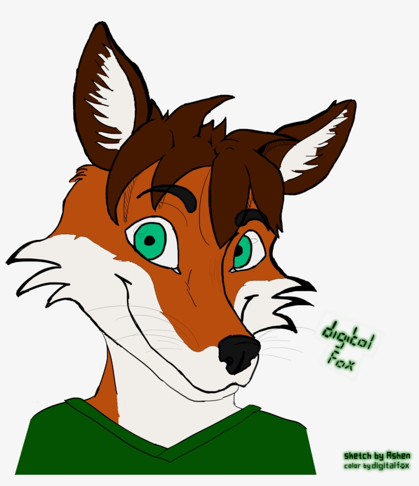 Digitalfox Head-shot [gift By Ashen] - Cartoon, transparent png